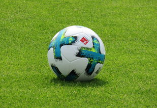 米兰体育网页版-德甲防守战术转变对定位球防守效果的影响分析，德国足球防守大师